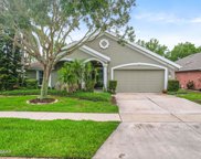 1377 Coconut Palm Circle, Port Orange image