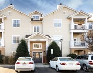17168 Red Feather  Drive, Charlotte image