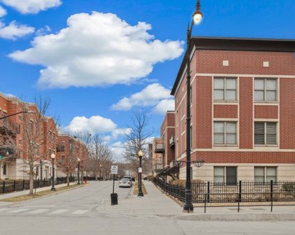 765 W 15Th Street Unit #310, Chicago