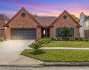19106 Oakway Drive, Humble image