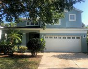 3602 Oak Brook Lane, Eustis image