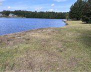 1109 Glossy Ibis Dr., Conway image