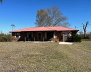 12058 Dr Whatapepsi Ln, Bryceville image