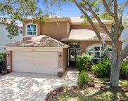 11709 Branch Mooring Drive, Tampa image