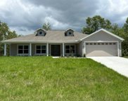11080 Horned Owl Road, Weeki Wachee image