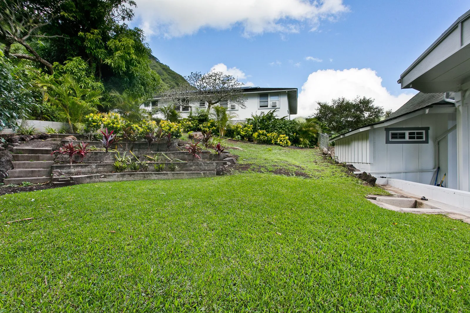 Sloped backyard with tropical plants at an Oahu home