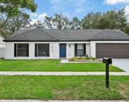 1415 Peachfield Drive, Valrico image