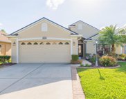 3216 Sago Point Court, Land O' Lakes image