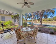 10997 Callaway Greens  Court, Fort Myers image