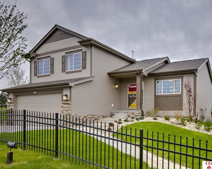 1812 Tammy Street, Bellevue
