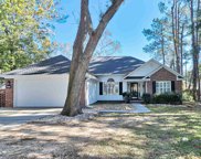 726 Mount Gilead Place Dr., Murrells Inlet image