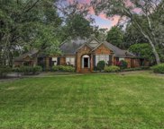 211 Piney Woods Road, Apopka image