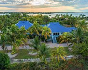 1 Tiburon, Shark Key image