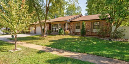 6000 Windleigh  Lane, St Louis