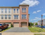 23450 Spice Bush   Terrace, Brambleton image