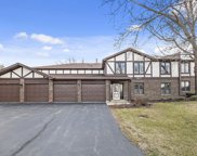 9803 W Creek Road Unit #E1, Palos Park image