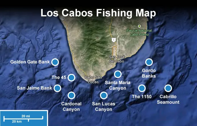 Los Cabos Fishing Map