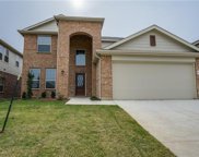 12008 Clearpoint  Court, Frisco image