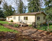 5292 MADRONA HEIGHTS DR, Silverton image