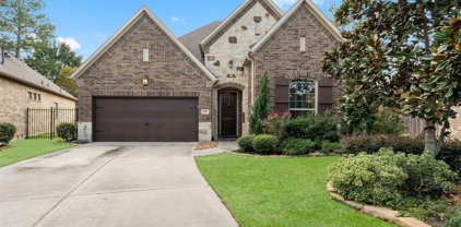 301 Rio Ranch Court, Montgomery