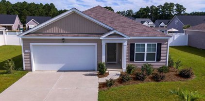 120 Golden Bear Circle, Longs