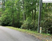 TBD Basswood, Banner Elk image