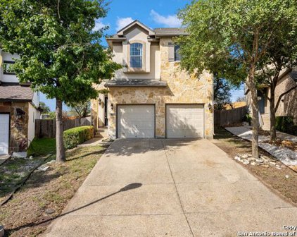 1203 Nicholas Manor, San Antonio