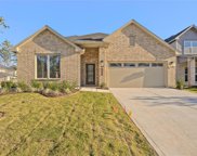 310 Riesling Drive, Alvin image