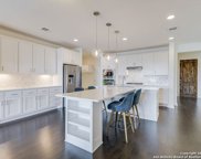 25326 Pleasant Beach, San Antonio image