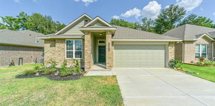 11970 Sunshine Park Drive, Willis