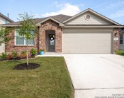 936 Brown Thrasher, San Antonio image