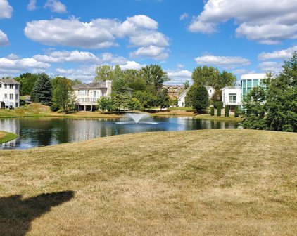 10 Sylvan Glen Court, Burr Ridge