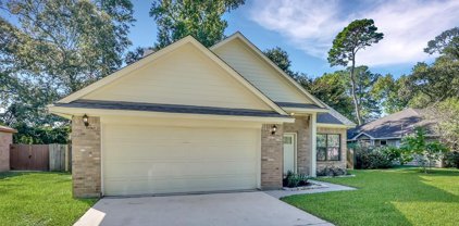 9020 Zapata Way, Willis