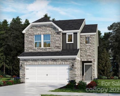 124 Ravensara  Avenue, Fort Mill