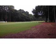 Hilton Head Island image