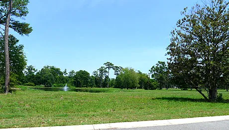 Seabrook Plantation Lots for Sale