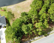 1017 Muscovy Pl., Conway image