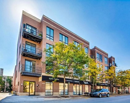 1005 South Boulevard Unit #203, Oak Park