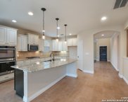 10643 Hibiscus Cove, Helotes image
