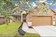 210 Black Swan Place, The Woodlands image