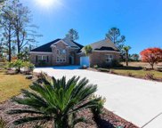 1039 Muscovy Pl., Conway image