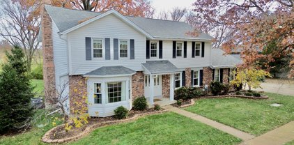 14934 Greenberry Hill  Court, Chesterfield