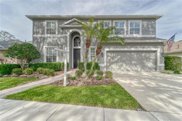 729 June Lake Lane, Brandon image