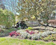 220 River Falls, Duncan image
