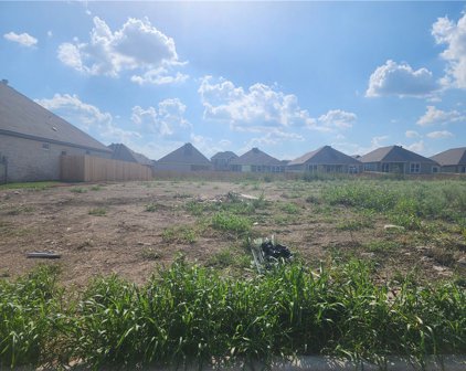 929 Northern Dancer  Drive, Hewitt