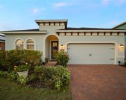 11608 Miss Chloe Court, Riverview image