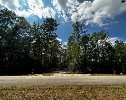 30903 Carrington Drive, Magnolia