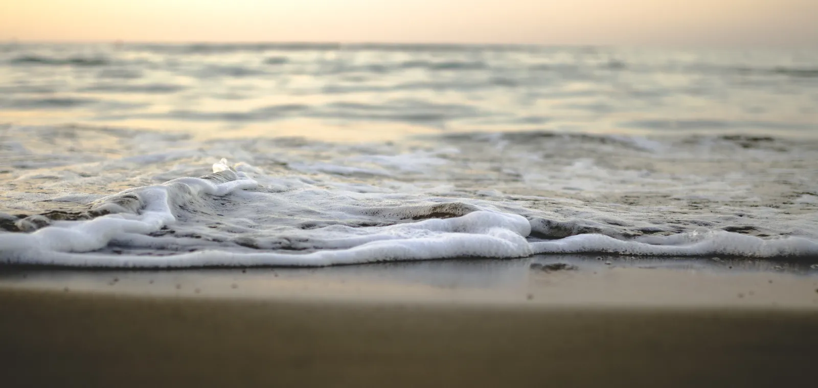 Silver SunOcean City, MD Condos for Sale