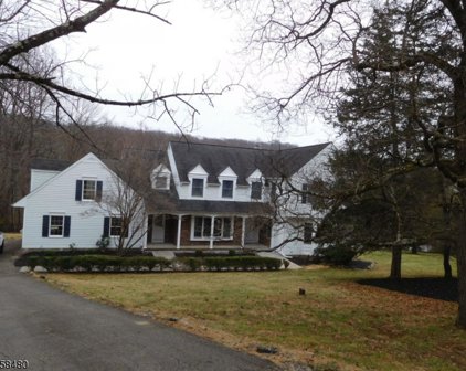 17 Bridge Hollow Rd, Tewksbury Twp.