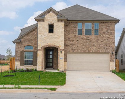 10021 Mulhouse Dr, Schertz